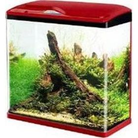 Sobo Kırmızı 30x19x33.5 cm Komple Akvaryum