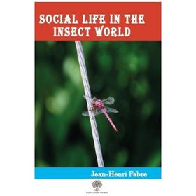 Social Life In The Insect World-Platanus Publishing