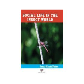 Social Life In The Insect World-Platanus Publishing