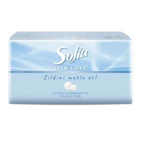 Sofia Skin Love 100'lü Mendil
