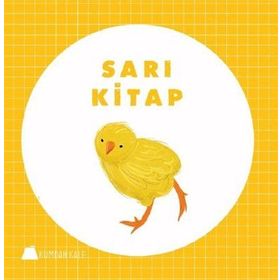 Sofistlerin Çalışma Kitabı: Dissoi Logoi - Güvenç Şar