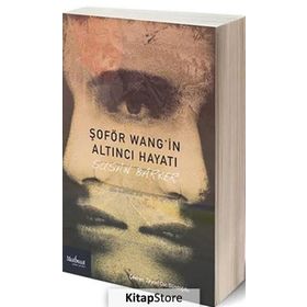 Şoför Wang’in Altıncı Hayatı - Susan Barker