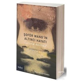 Şoför Wang’in Altıncı Hayatı - Susan Barker