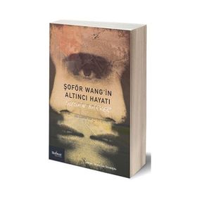 Şoför Wang’in Altıncı Hayatı - Susan Barker