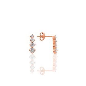 Söğütlü Silver Gümüş Rose Elmas Zirkon Taşlı Çivili Işıltı Küpe