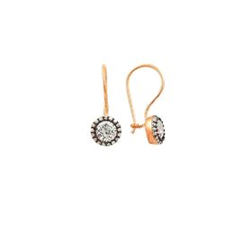 Söğütlü Silver SGTL10069 Gümüş Elmas Montürlü Çengelli Küpe