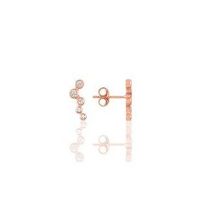 Söğütlü Silver SGTL11679 Gümüş Rose Zirkon Taşlı Yaprak Küpe