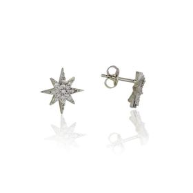 Söğütlü Silver SGTL4068 925 Ayar Gümüş Mini Kutupyıldızı Küpe