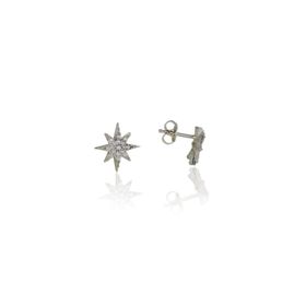 Söğütlü Silver SGTL4068 925 Ayar Gümüş Mini Kutupyıldızı Küpe