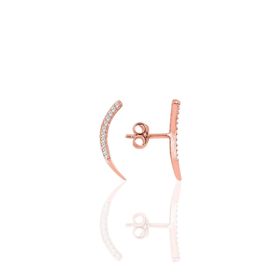 Söğütlü Silver SGTL7916 925 Ayar Gümüş Rose Zirkon Taşlı Mini Pırlanta Modeli Baykuş Küpe