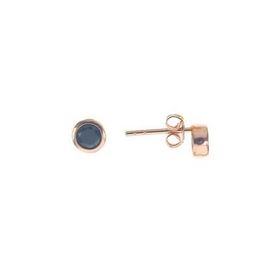 Söğütlü Silver SGTL8664 Rose Mini Onix Taşlı Gümüş Kadın Küpe