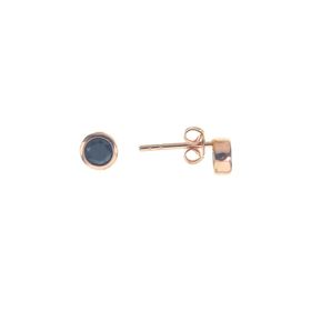 Söğütlü Silver SGTL8664 Rose Mini Onix Taşlı Gümüş Kadın Küpe