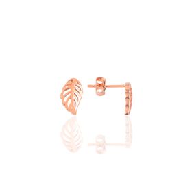 Söğütlü Silver SGTL9213 Kadın Küpe