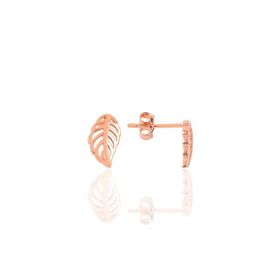 Söğütlü Silver SGTL9213 Kadın Küpe