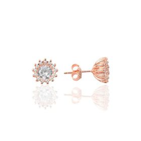 Söğütlü Silver SGTL9220 Kadın Küpe