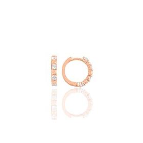 Söğütlü Silver SGTL9648ROSE Rose Çanta Modeli Desenli Halka Gümüş Küpe