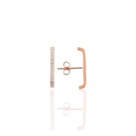 Söğütlü Silver SGTL9723ROSE Zirkon Taşlı Mini Yonca Gümüş Küpe