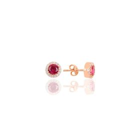 Söğütlü Silver SGTL9733ROSE Rose Çizgi Gümüş Küpe