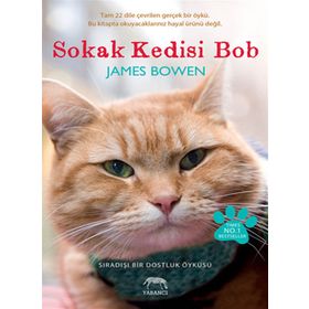 SOKAK KEDISI BOB SIRADIŞI BIR DOSTLUK ÖYKÜSÜ - JAMES BOWEN