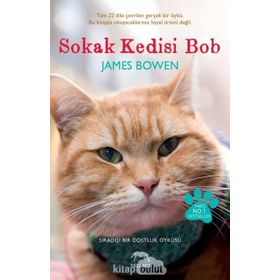SOKAK KEDISI BOB SIRADIŞI BIR DOSTLUK ÖYKÜSÜ - JAMES BOWEN