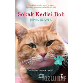 SOKAK KEDISI BOB SIRADIŞI BIR DOSTLUK ÖYKÜSÜ - JAMES BOWEN