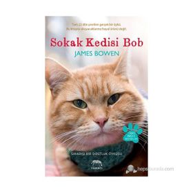 SOKAK KEDISI BOB SIRADIŞI BIR DOSTLUK ÖYKÜSÜ - JAMES BOWEN