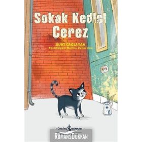 Sokak Kedisi Çerez - Suat Çağlayan