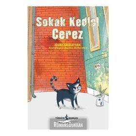 Sokak Kedisi Çerez - Suat Çağlayan