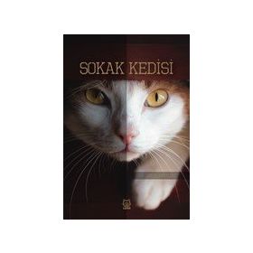 Sokak Kedisi-Luna Yayınları