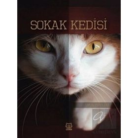 Sokak Kedisi-Luna Yayınları