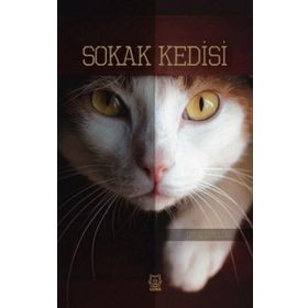 Sokak Kedisi-Luna Yayınları