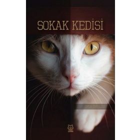Sokak Kedisi-Luna Yayınları
