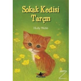 Sokak Kedisi Tarçın - Holly Webb