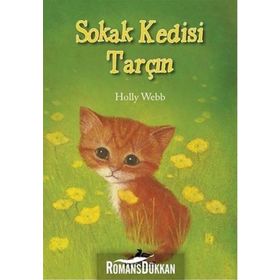 Sokak Kedisi Tarçın - Holly Webb