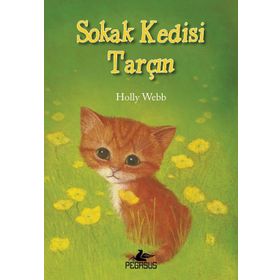 Sokak Kedisi Tarçın - Holly Webb