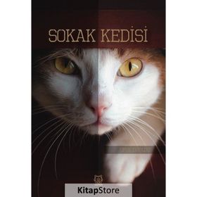 Sokak Kedisi Ufuk Eryıldız