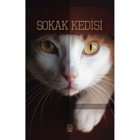Sokak Kedisi Ufuk Eryıldız