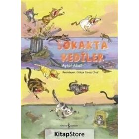 Sokakta Kediler - Aytül Akal