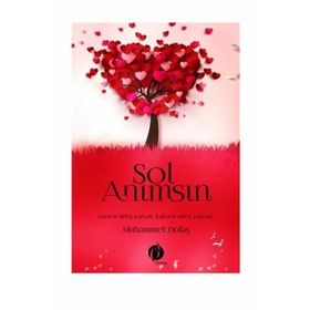 Sol Anımsın - Muhammet Dolaş
