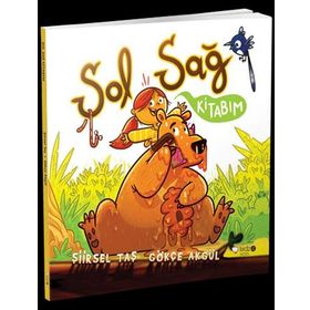 Sol Sağ Kitabım - Gökçe Akgül
