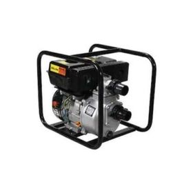 Solax P20-2 2 inc Benzinli Su Motoru