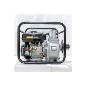 Solax P30-3 3 inc Benzinli Su Motoru