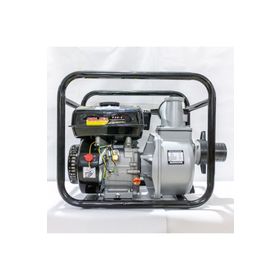 Solax P30-3 3 inc Benzinli Su Motoru