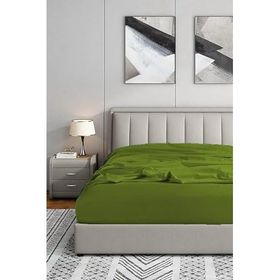 Soley Jersey 140x200 cm Yeşil %100 Pamuk Çift Kişilik Lastikli Çarşaf