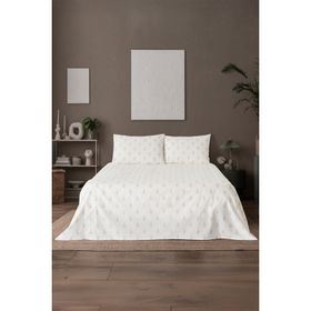 Soley Mix & Match Corvelle %100 Pamuk Tek Kişilik Çarşaf Seti
