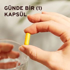 Solgar Turmeric Root Extract 60 Kapsül