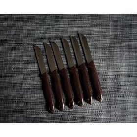 Solingen Simli Kahverengi 6'lı Meyve Bıçağı