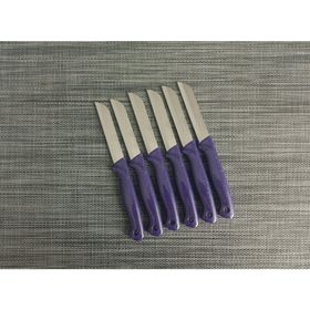 Solingen Simli Mor 6'lı Meyve Bıçağı