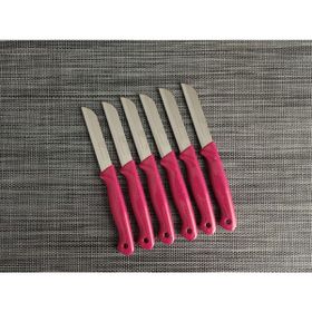 Solingen Simli Pembe 6'lı Meyve Bıçağı
