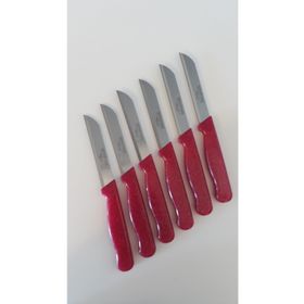 Solingen Simli Pembe 6'lı Meyve Bıçağı
